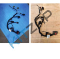 ���� �������� ������� �����